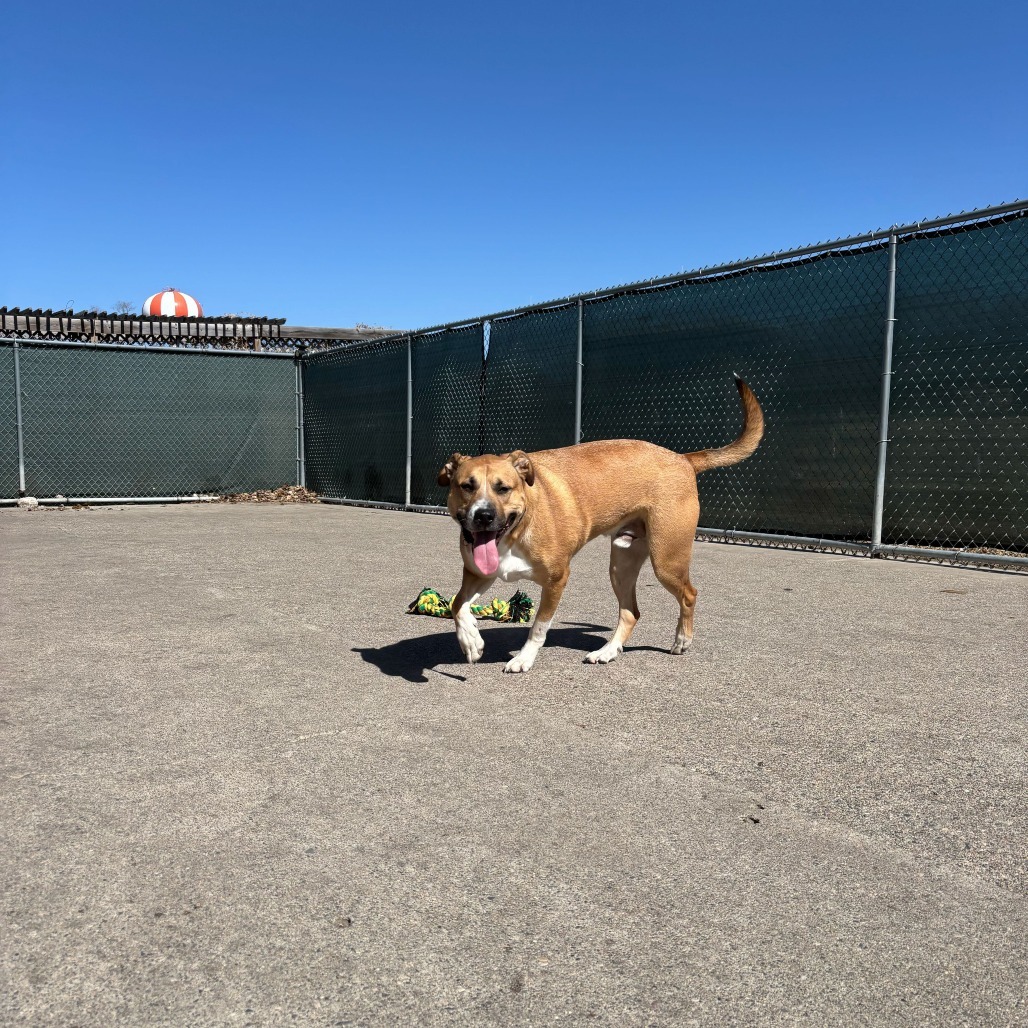 Watson--In Foster