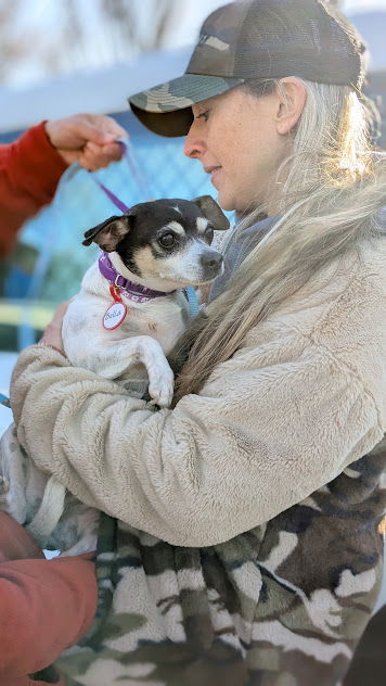Bella - Beautiful Girl!