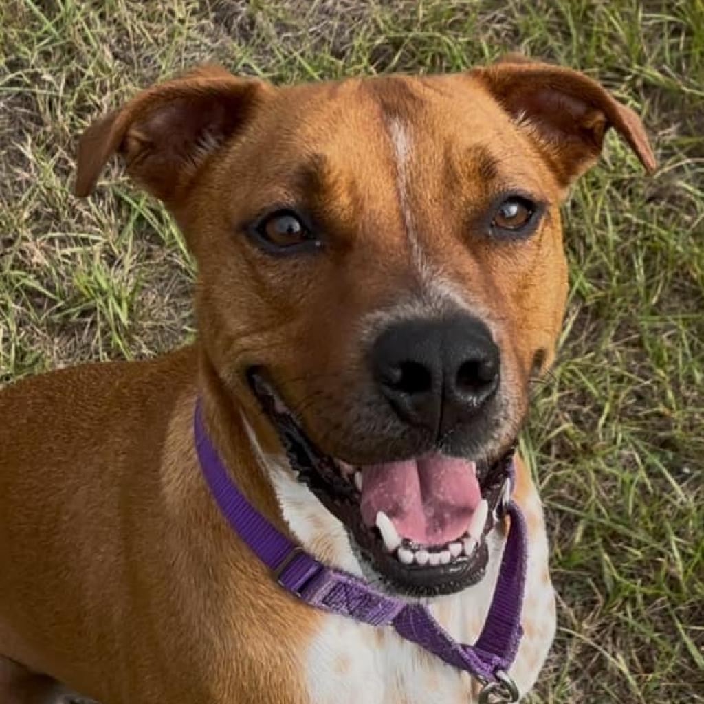Roscoe