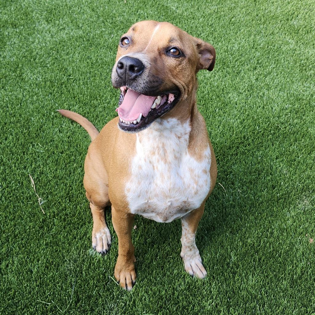 Roscoe