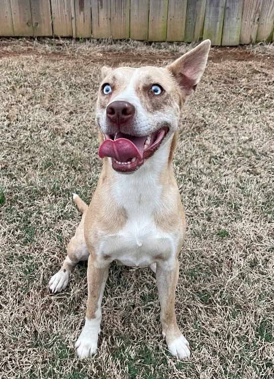 Luna