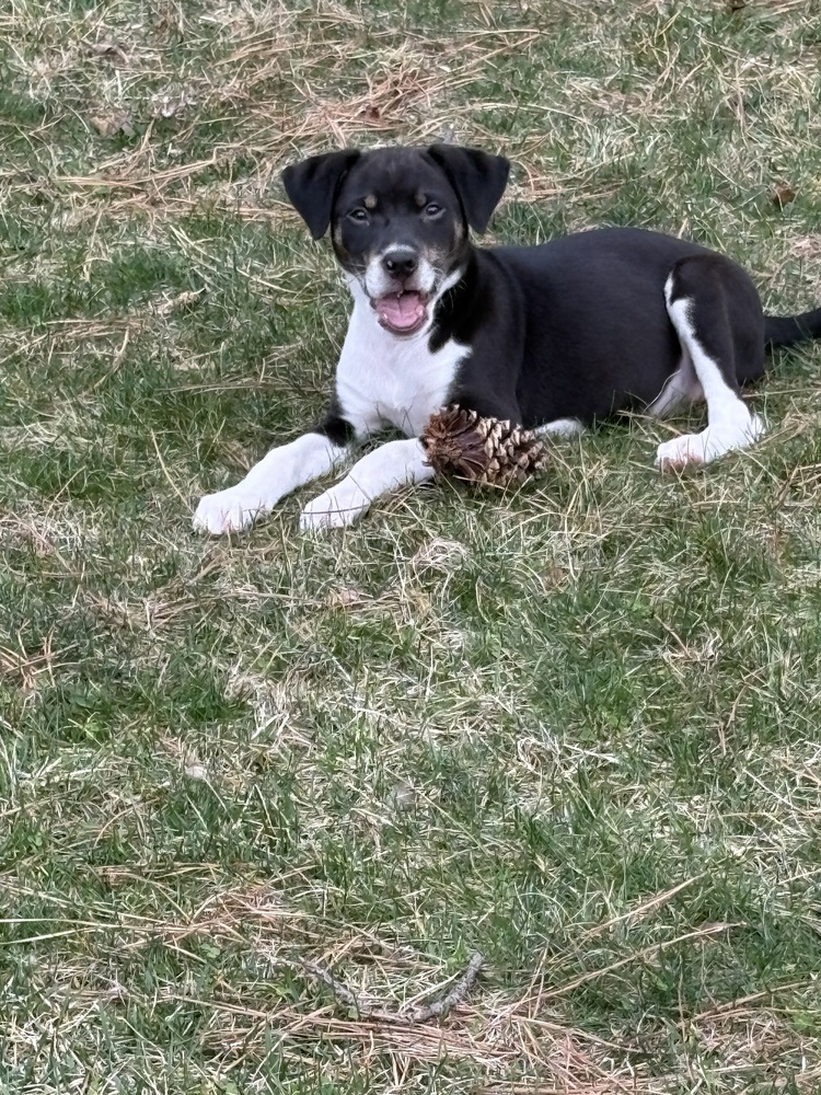 Molly