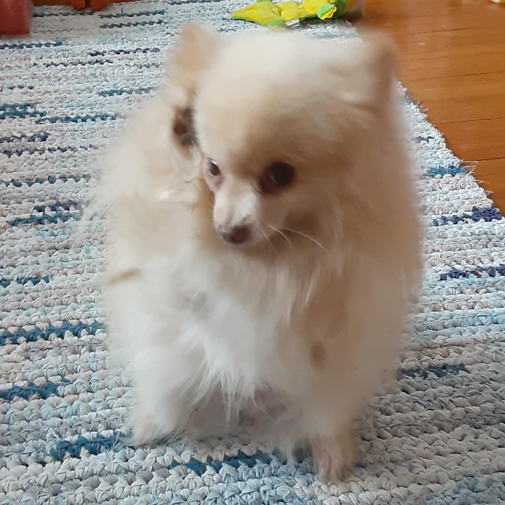 Jackson