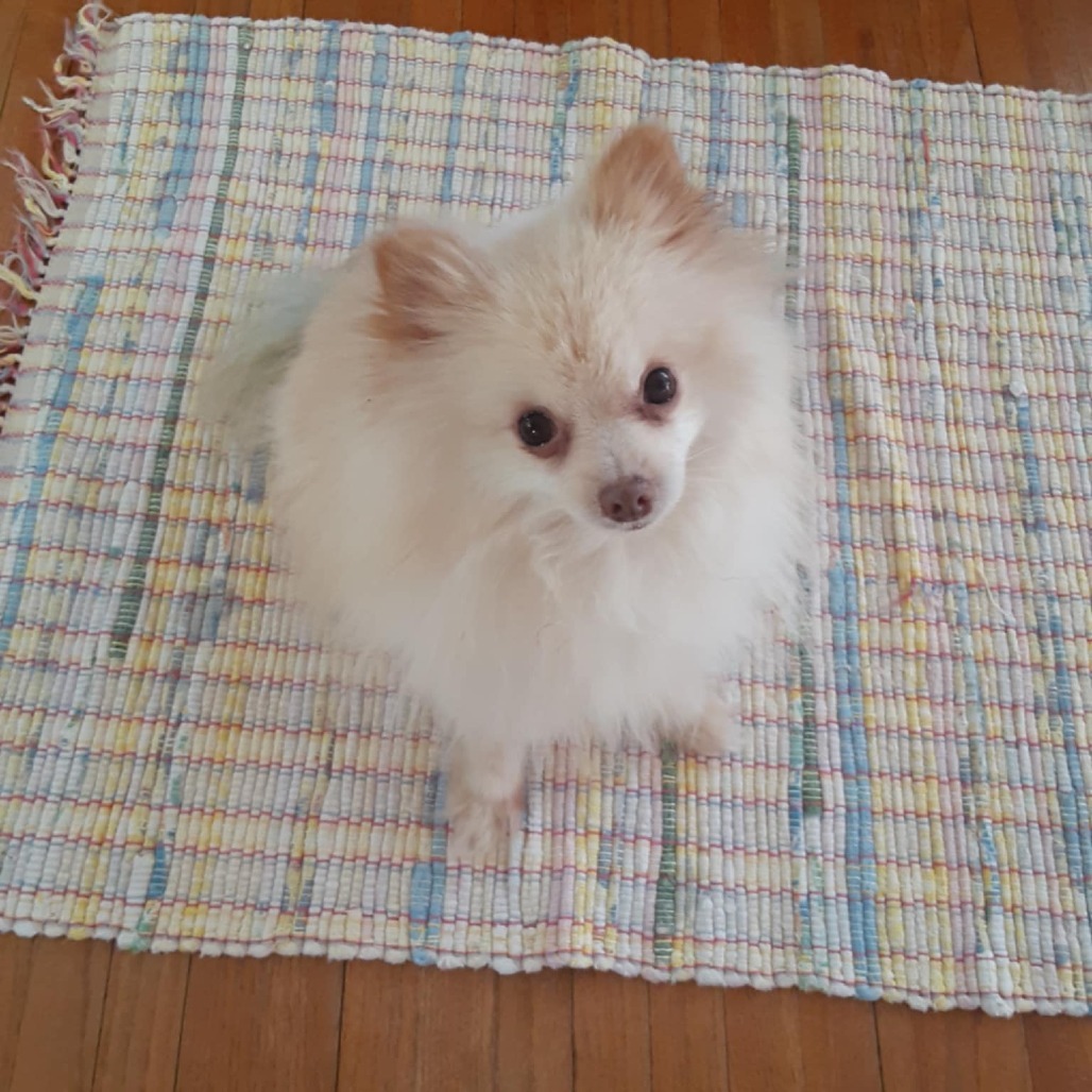 Jackson