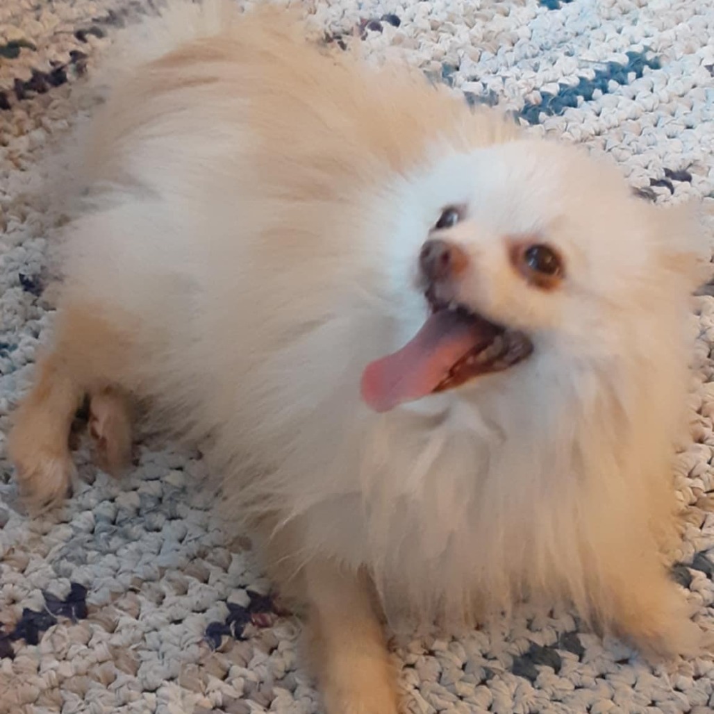 Jackson
