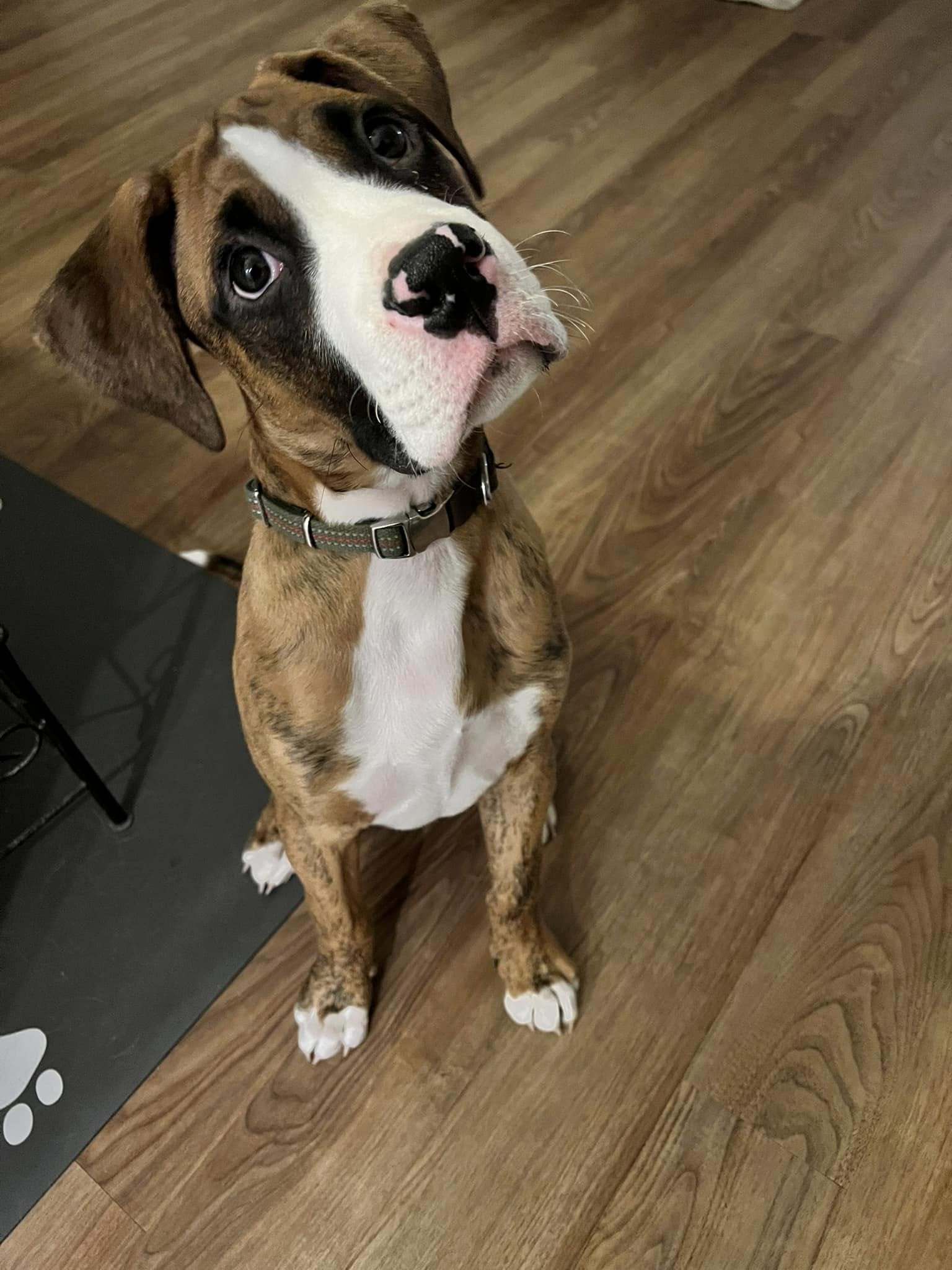 Winston