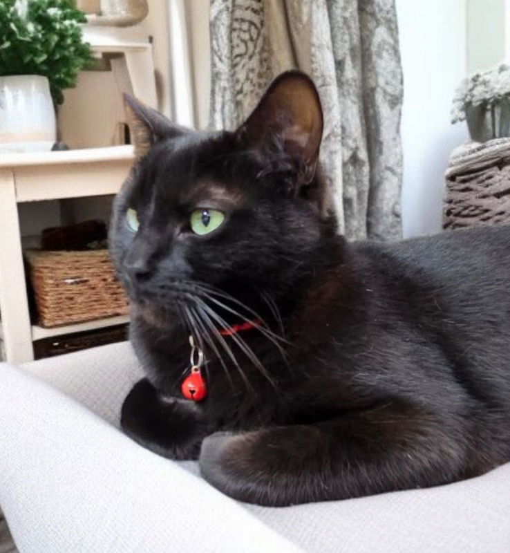 Binx