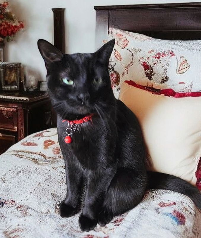 Binx