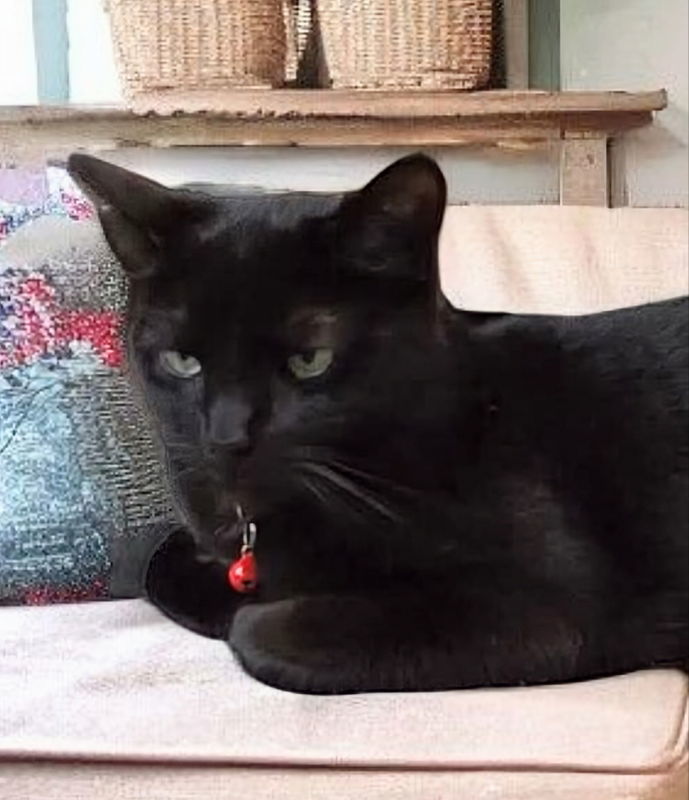 Binx
