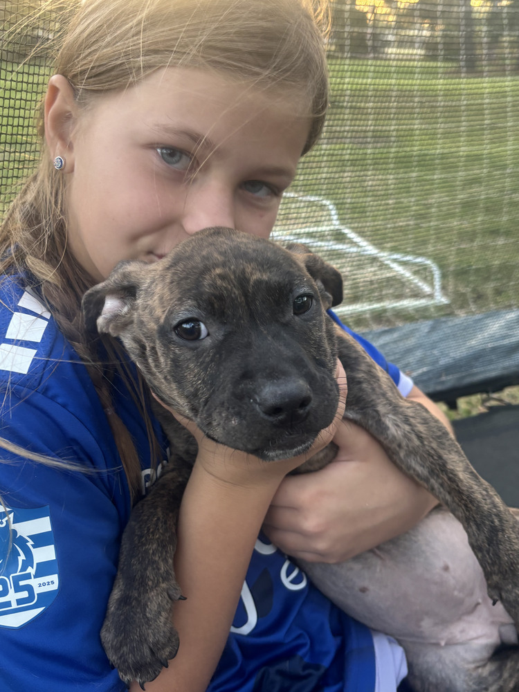 Elphy (Morri's Litter)