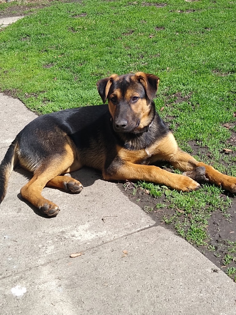 Turbo