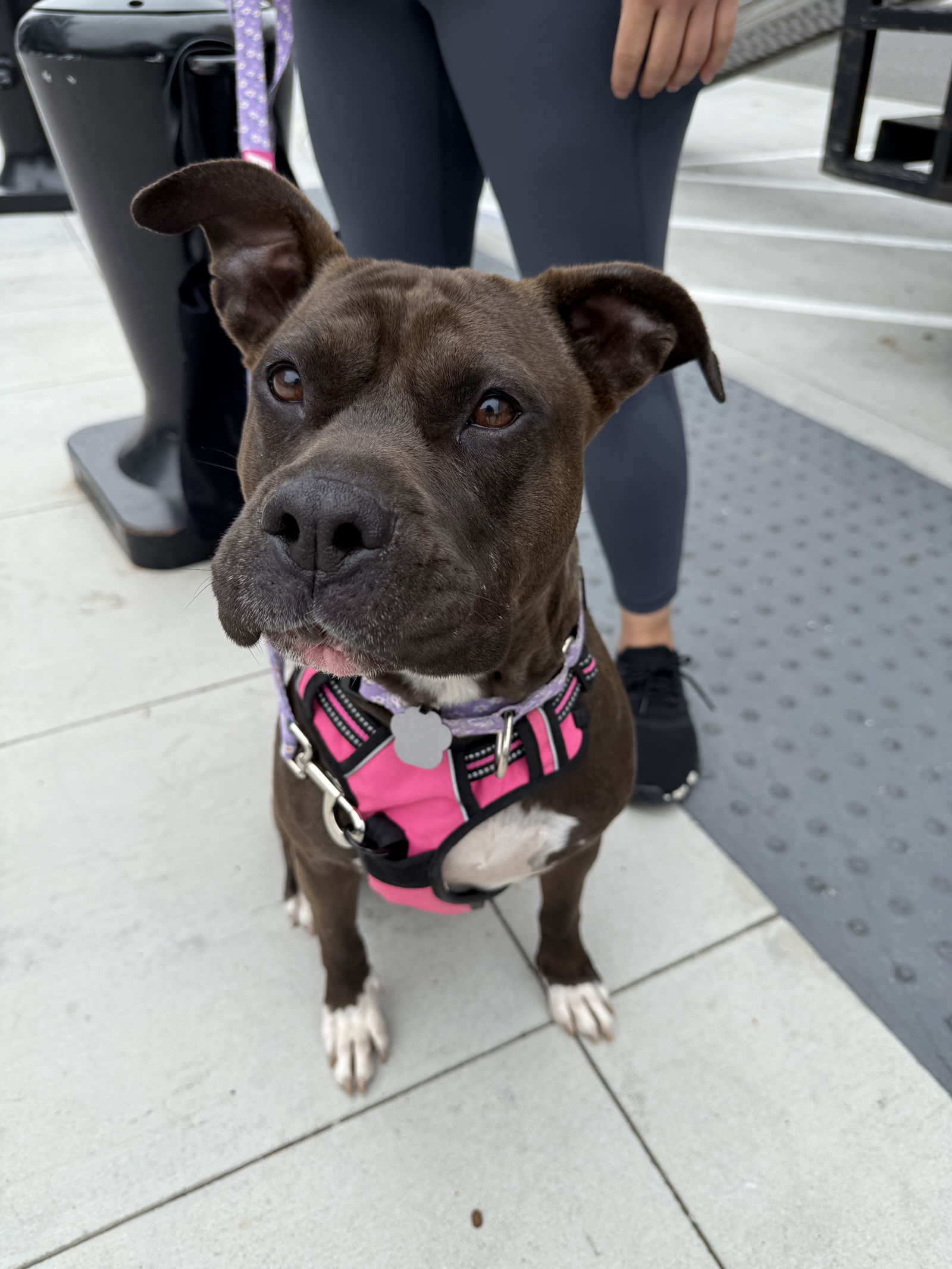 Freya pretty pitty