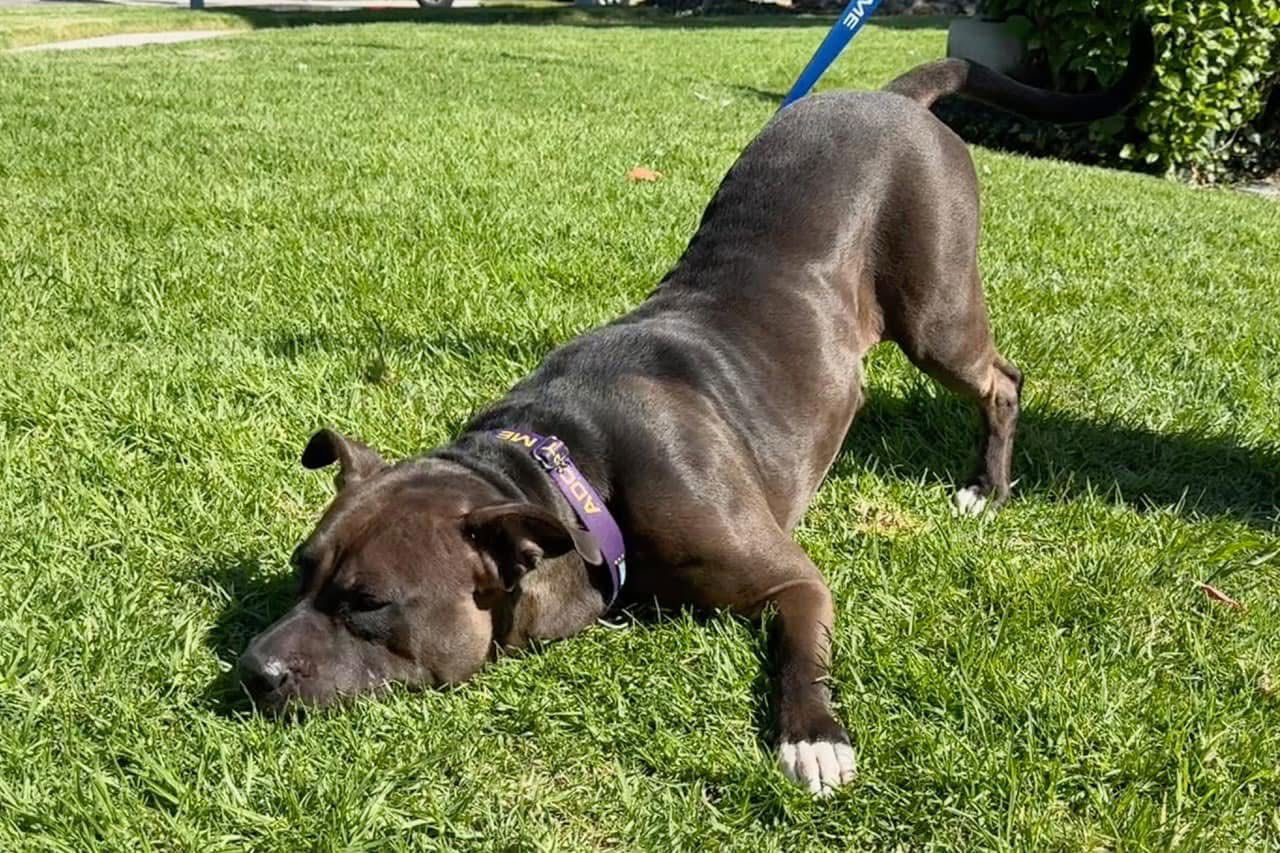 Freya pretty pitty