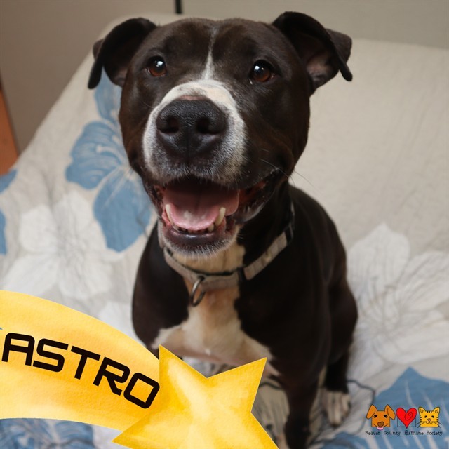 ASTRO