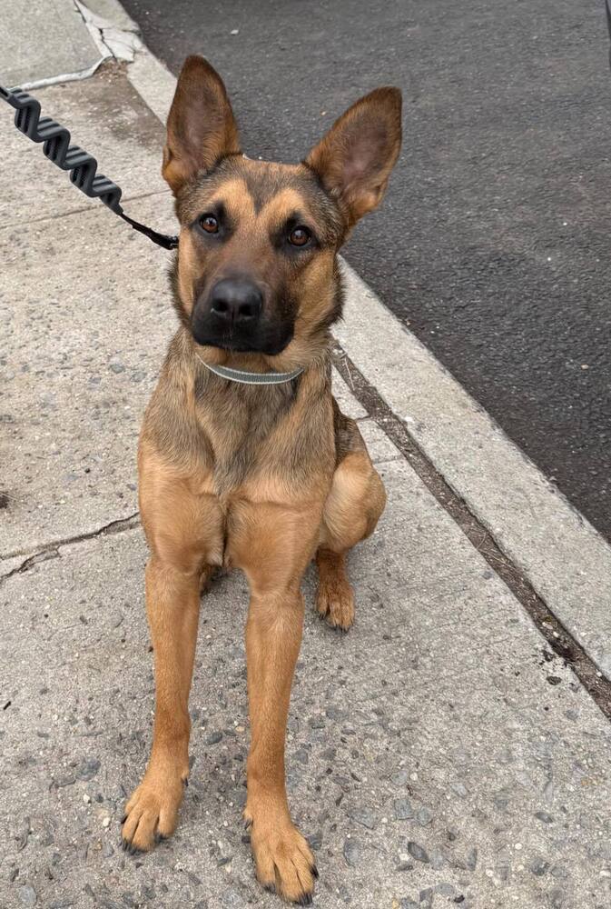 Bella