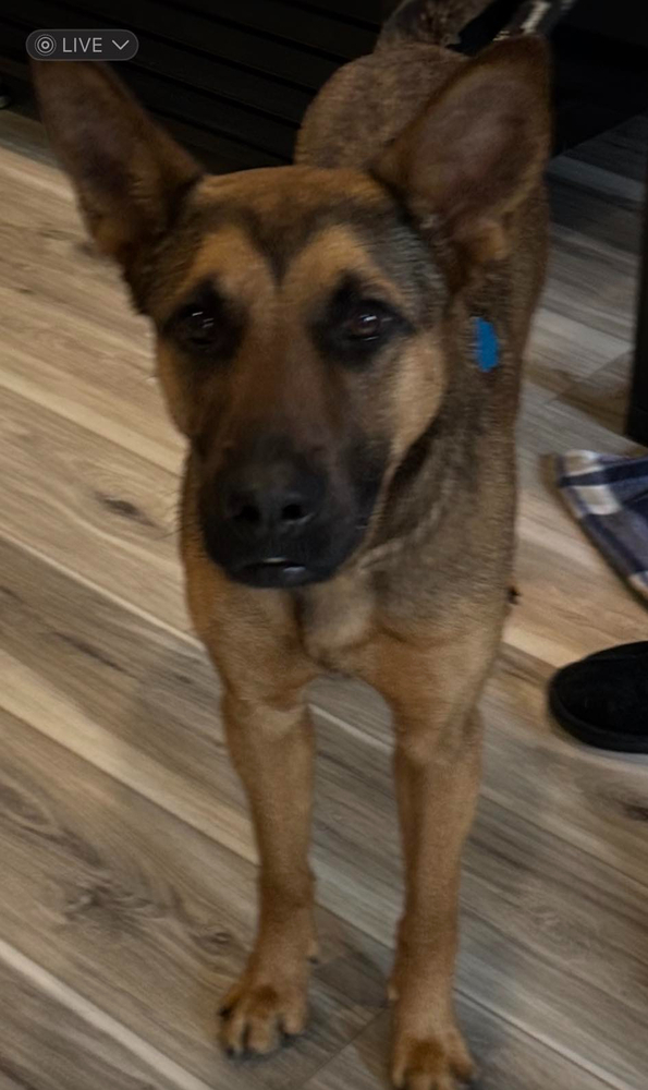 Bella