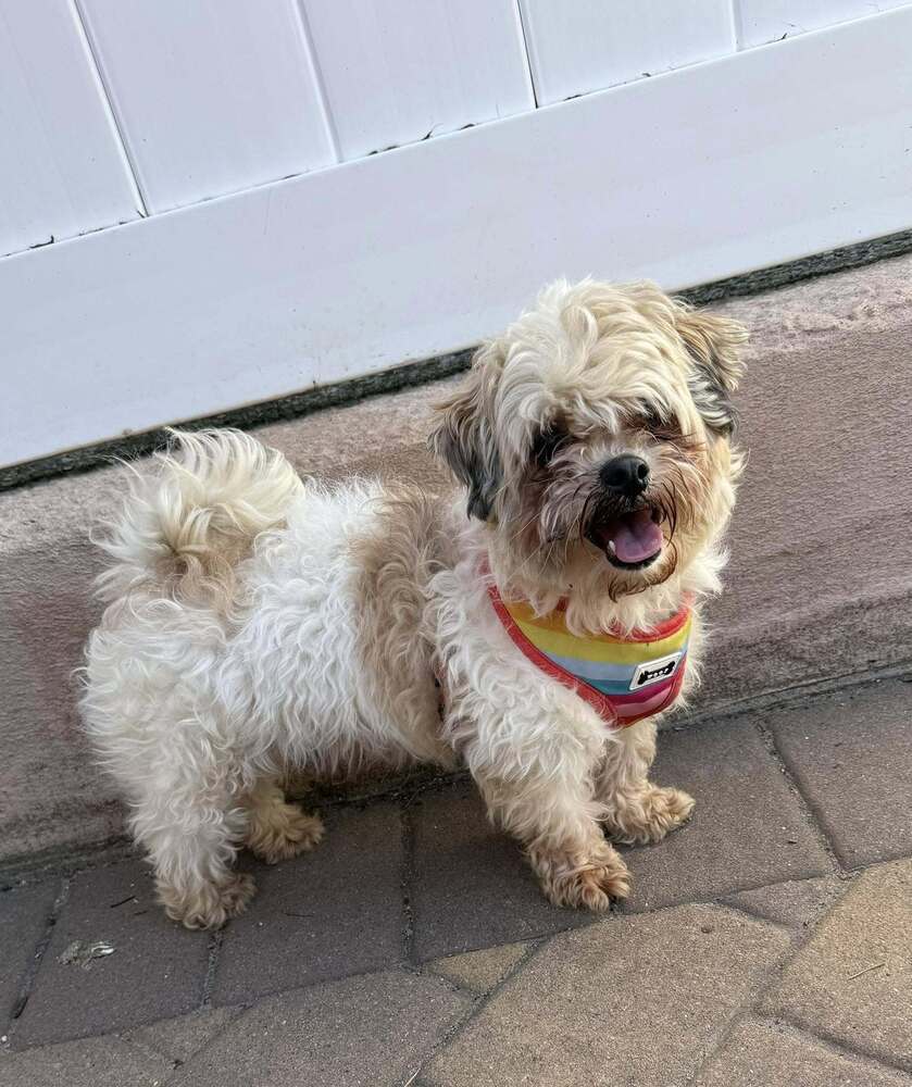 Elvis
