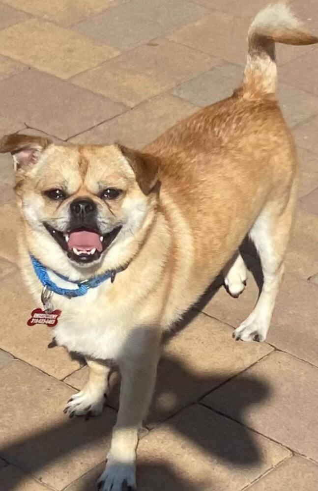 Louie