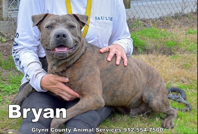 BRYAN