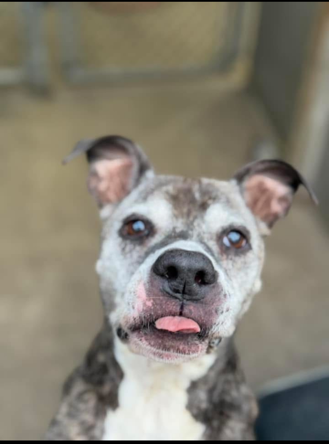Edgar