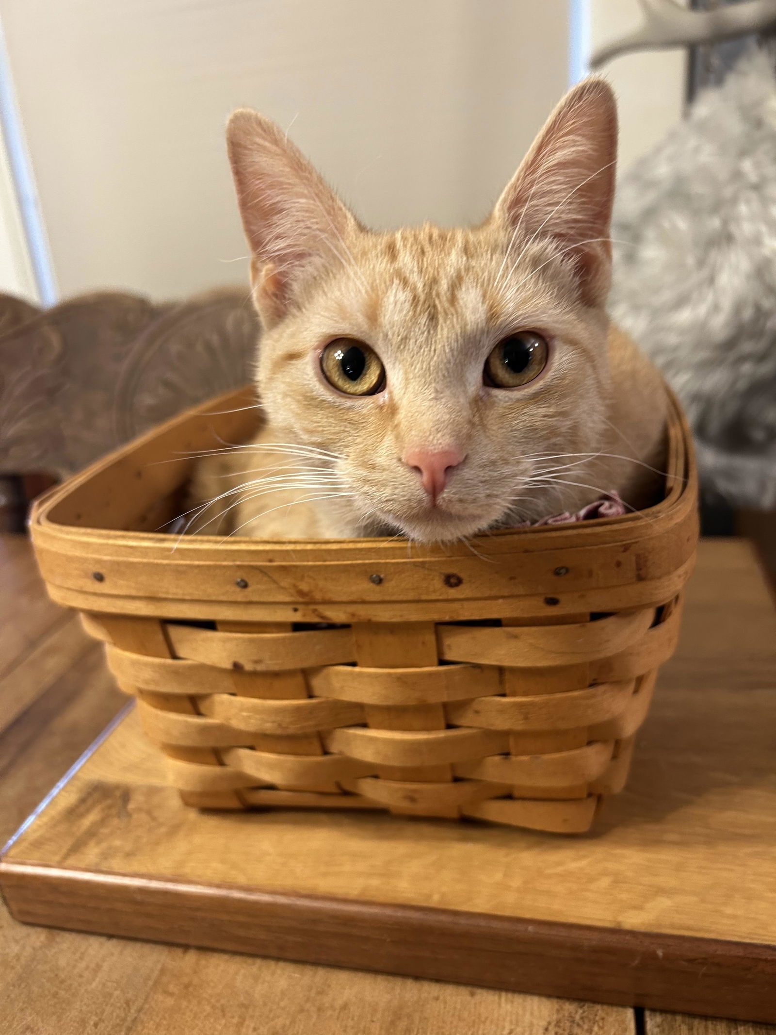 Copper