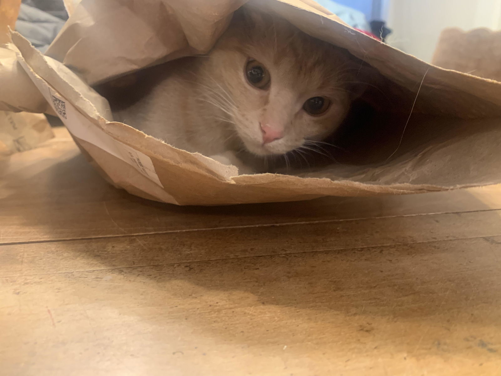 Copper