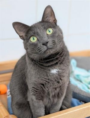 MATILDA, Adult Female unknown