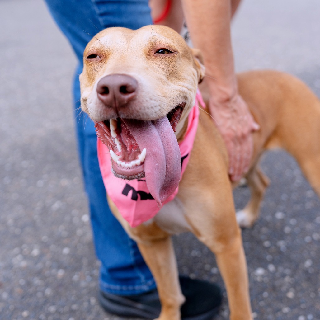Avery (In Foster)