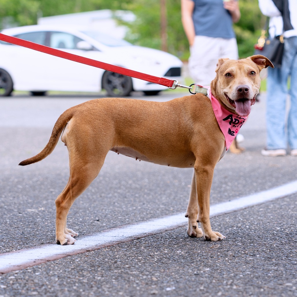 Avery (In Foster)