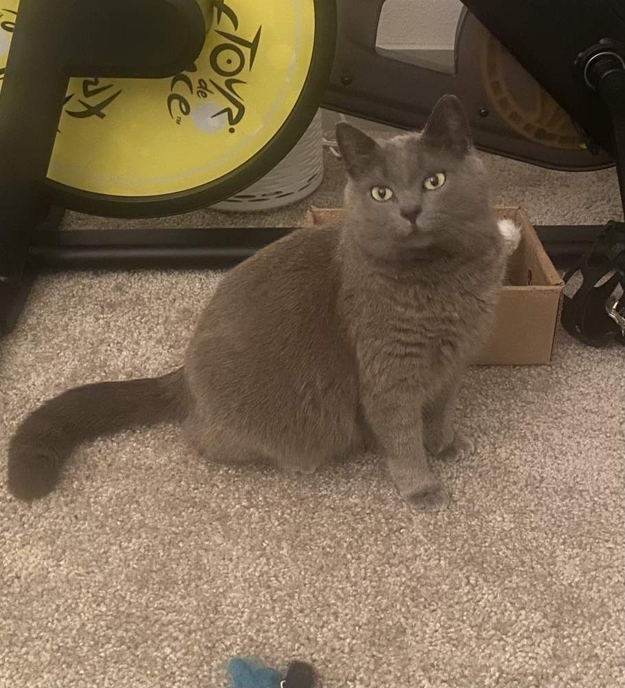 Grizelda aka Gracie