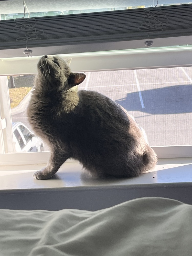 Grizelda aka Gracie