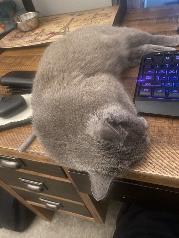 Grizelda aka Gracie