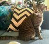 Timmy photo 2