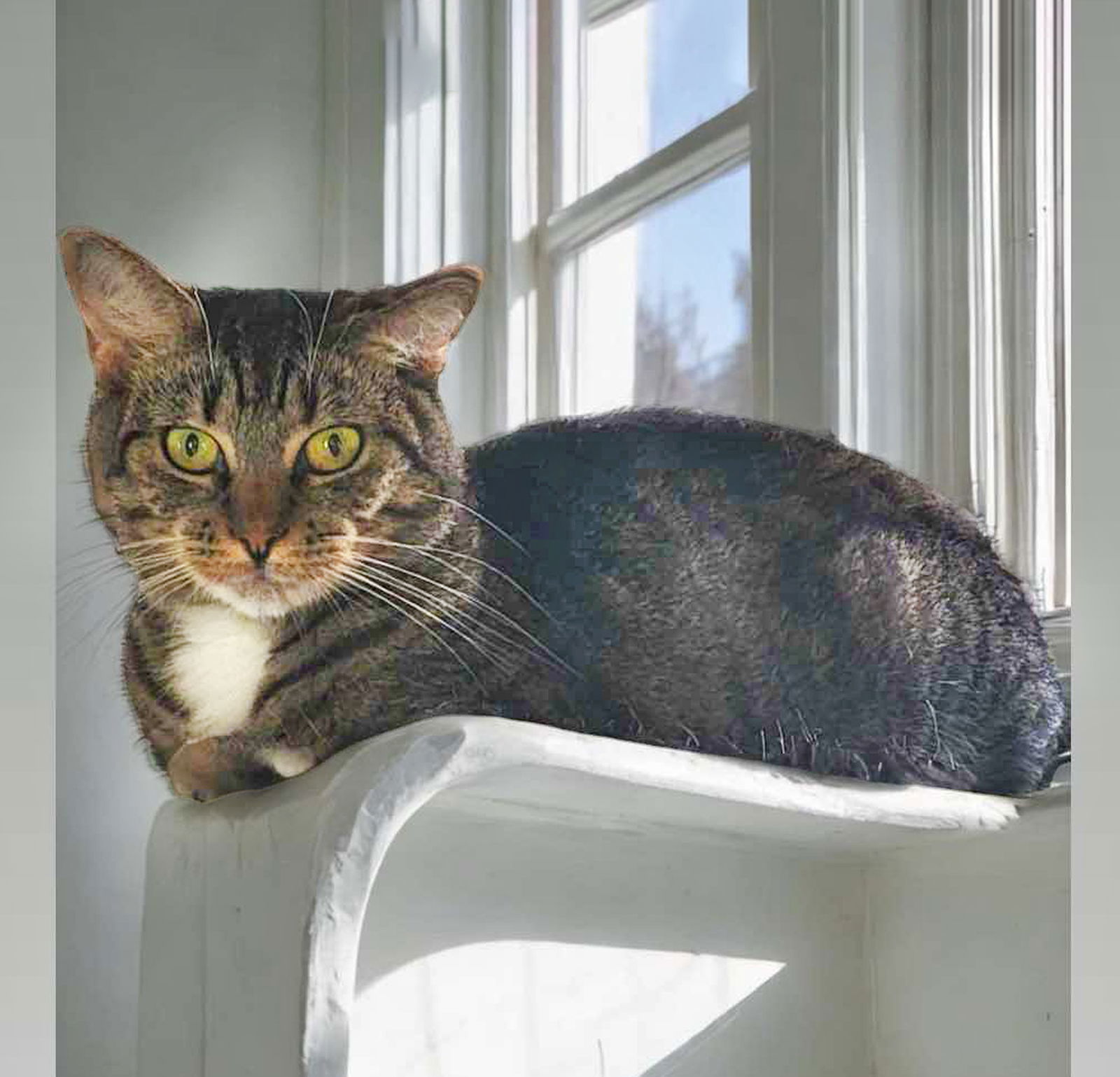 Winnie