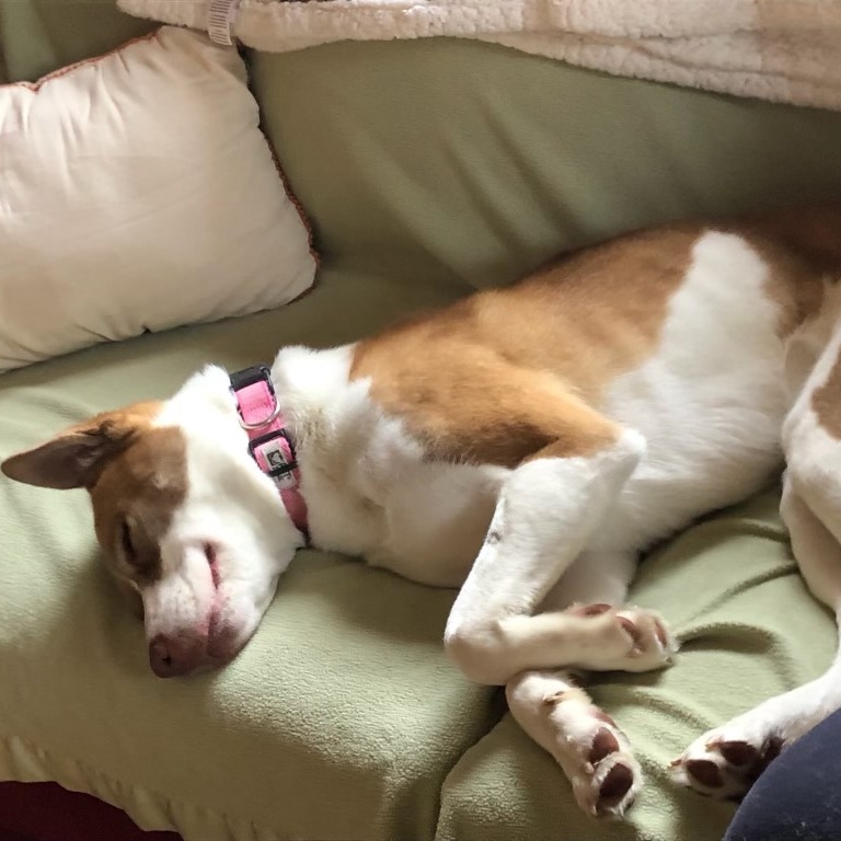 Nala