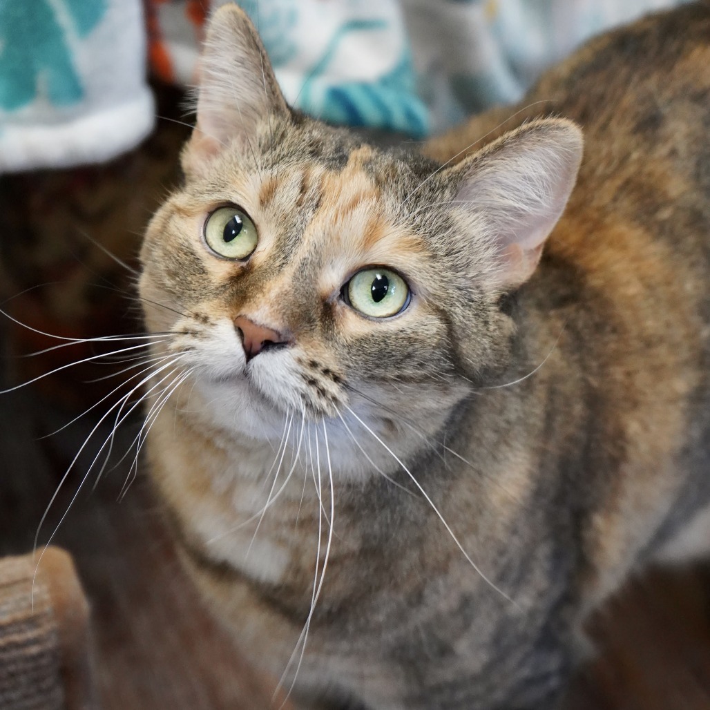 Bella Mae