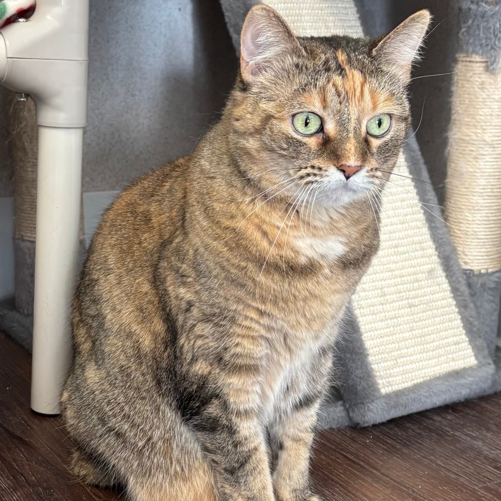 Bella Mae