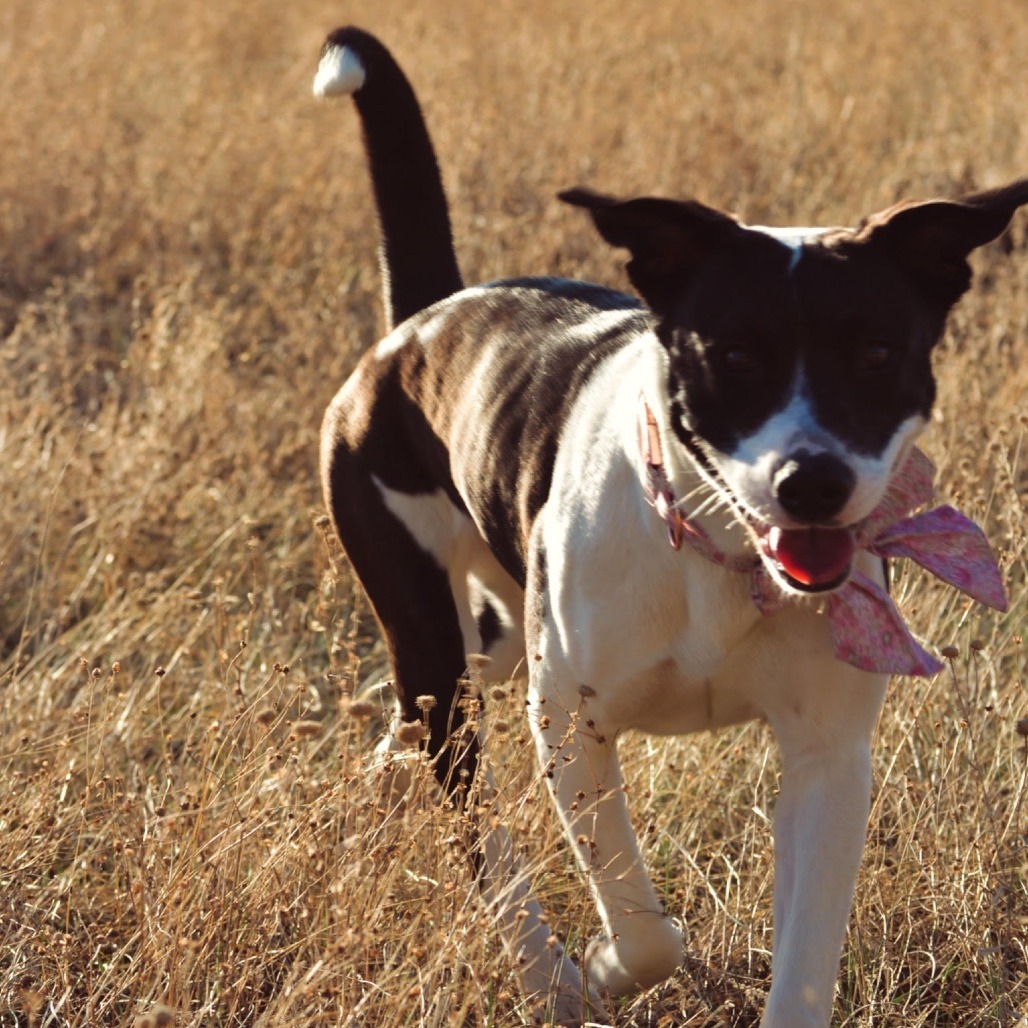 Vida- Sweet Girl, Loves People!