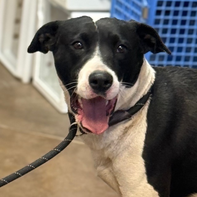Vida- Sweet Girl, Loves People!