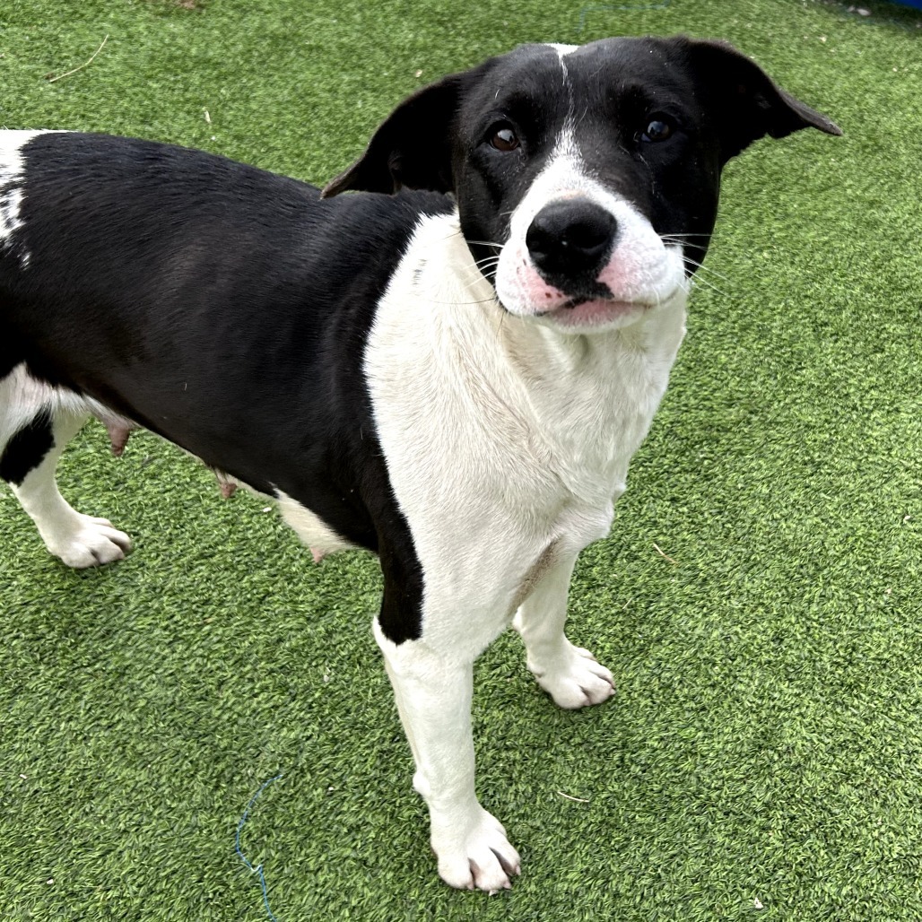 Vida- Sweet Girl, Loves People!