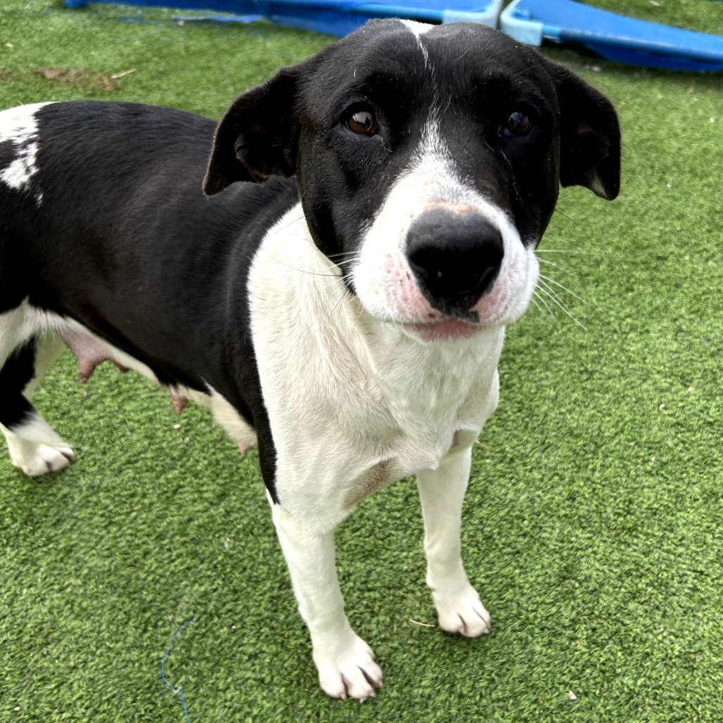 Vida- Sweet Girl, Loves People!