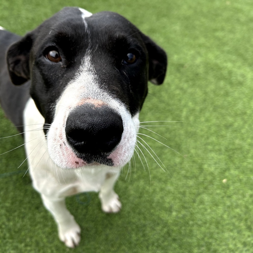 Vida- Sweet Girl, Loves People!