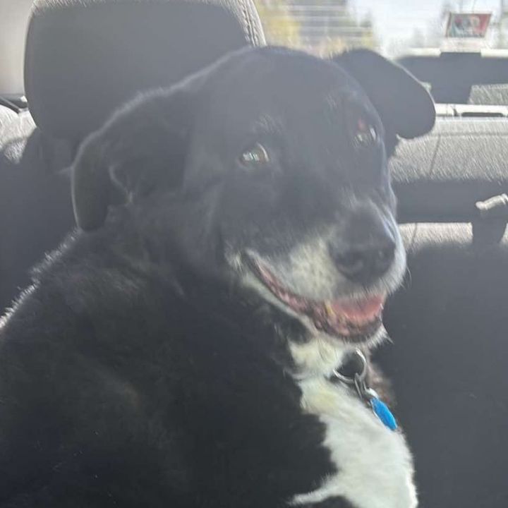 Murphy 2