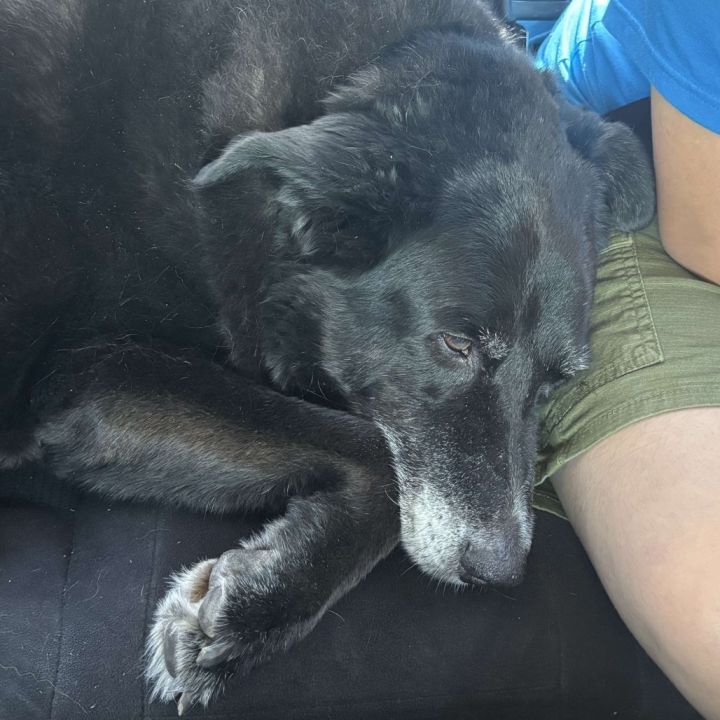 Murphy 3