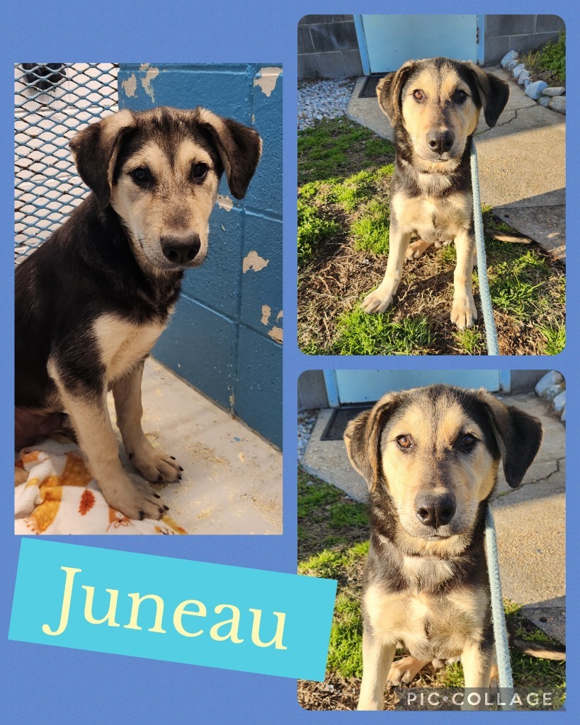 Juneau