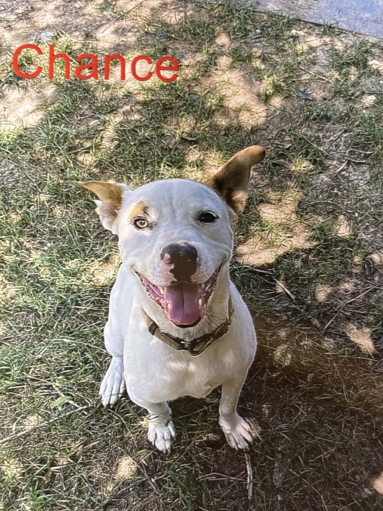Chance