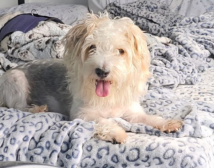 Mr. Marbles 1