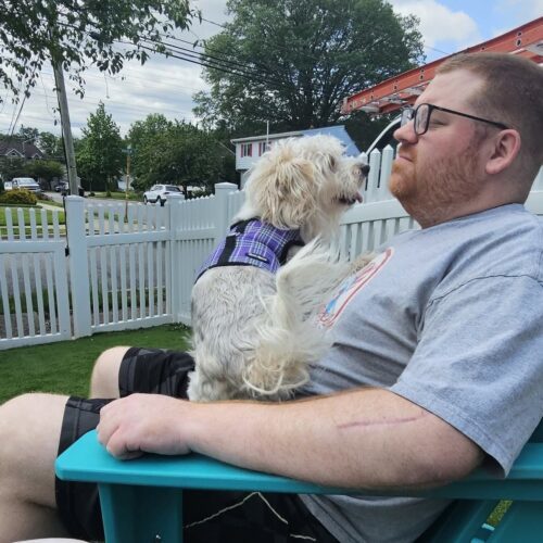 Mr. Marbles, an adoptable Morkie in Verona, NJ, 07044 | Photo Image 4
