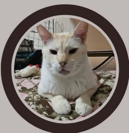 Atticus 2