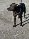 Hugo photo 2